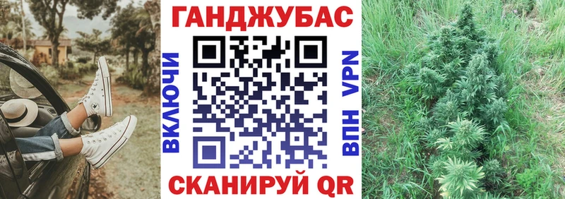 Купить где  Вельск  Бошки марихуана план 